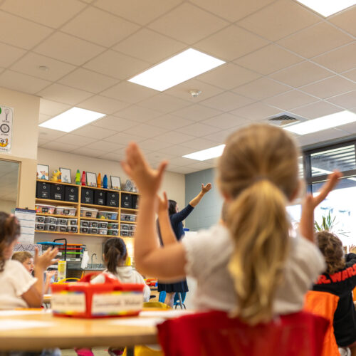 Copy of BF7A6595 (1)